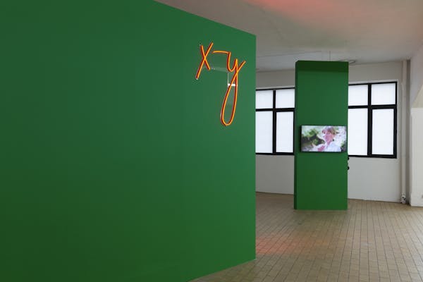 Helen Anna Flanagan, X-Y, 2020. Video installation, stereo sound, 11’. Photo Laure Cottin Stefanelli & Manuel Wetscher