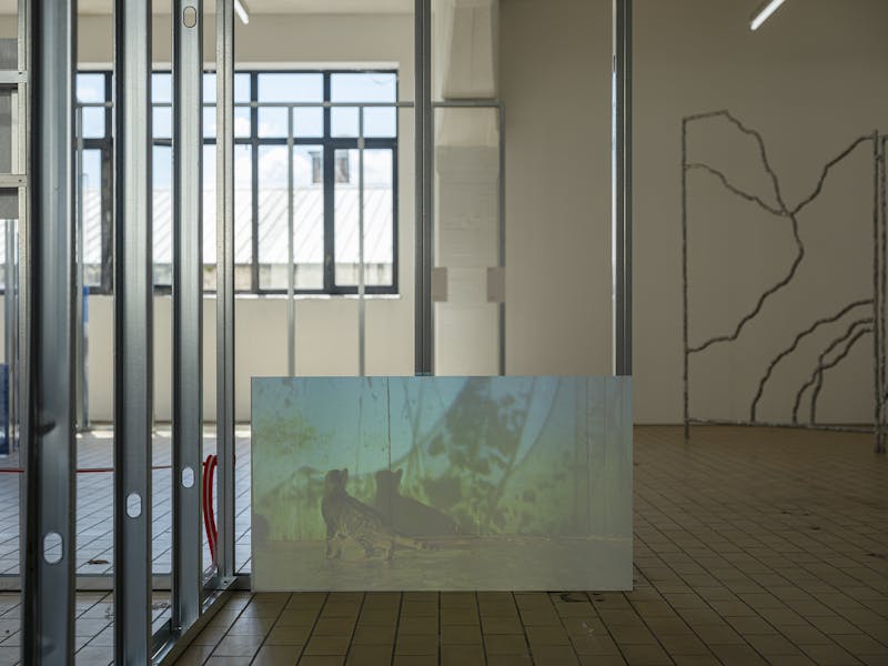 What's in an artwork. Exhibition view, Max Sudhues. Photo by Dani Gherca