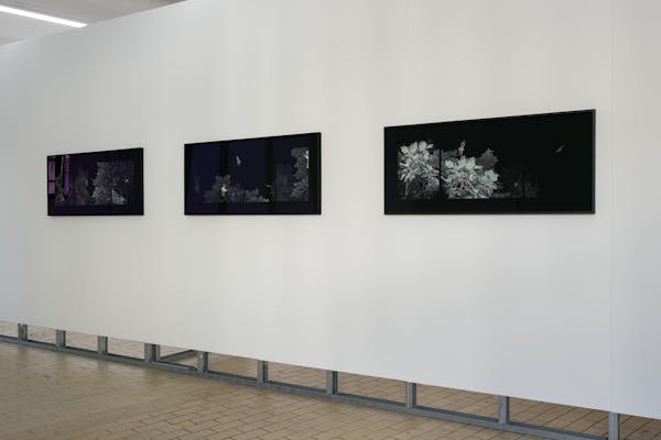 Differences Exhibition view 45 Wim Catrysse Showing Presence Ramallah n01 2 3 2019 photo by Karel Koplimets