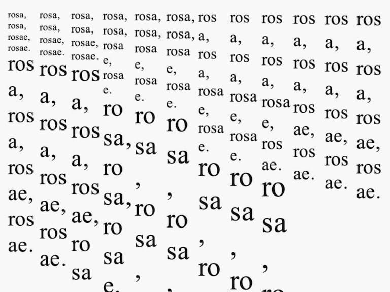 rosa rosa rosae rosae, 2021