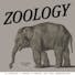 Zoology, 2021