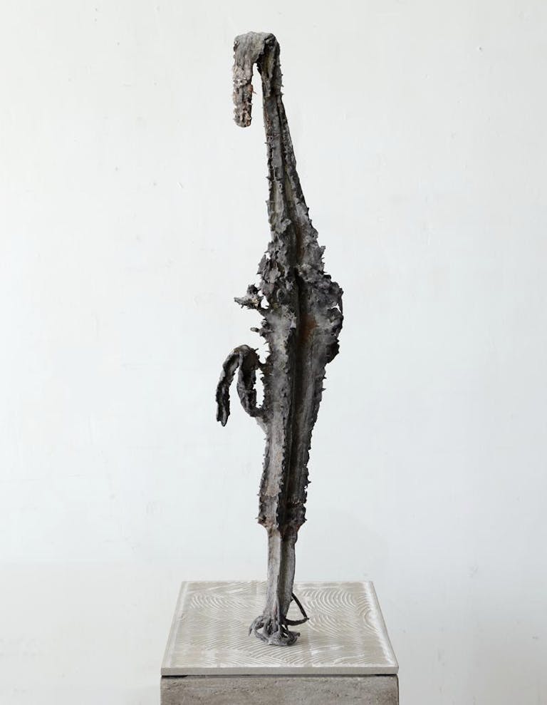 Sara Bjarland, Untitled (drought), 2021