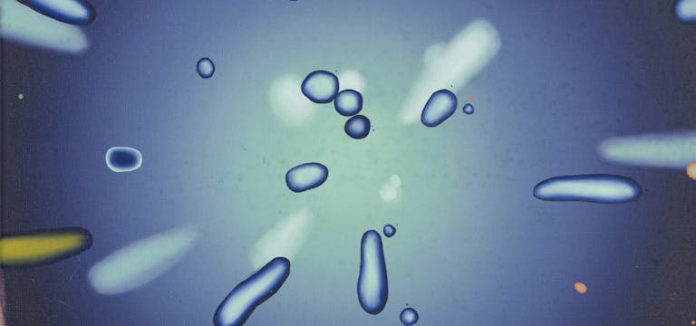 Nelleke Cloosterman, 2022