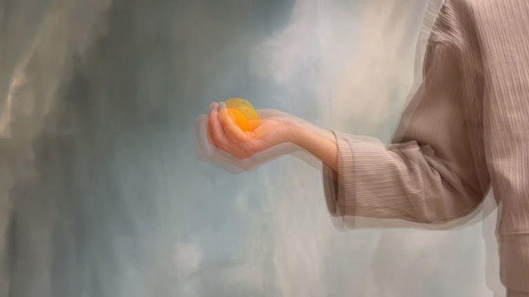 Behind The Still Lives 2022 Hannah Mevis