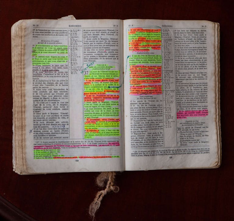 Hadassa Ngamba Wiels Excercices