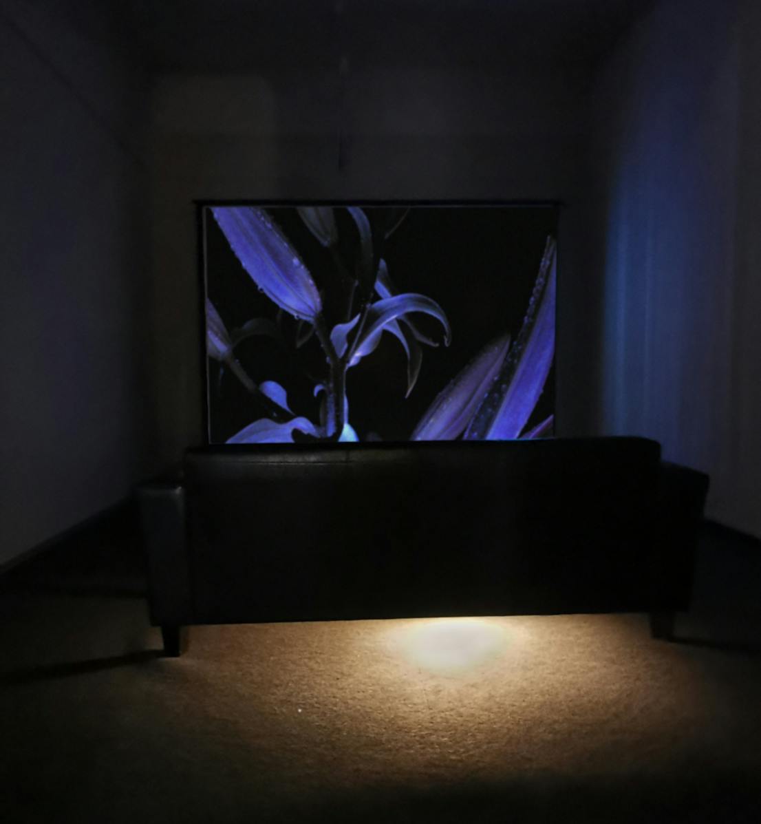 Paulius Sliaupa Blue night